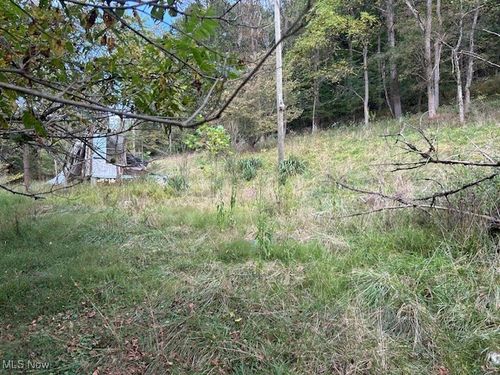 1990 Meathouse Fork Rd, Ravenswood, WV, 26164-5307 | Card Image