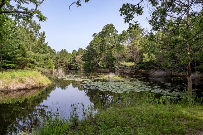 0 Johnson Rd, Home with 0 bedrooms, 0 bathrooms and null parking in Winona TX | Image 12