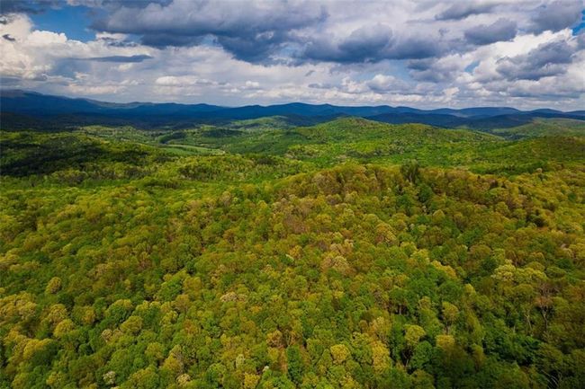 91 - 43 Old Burnt Mountain Rd, Home with 0 bedrooms, 0 bathrooms and null parking in Ellijay GA | Image 8
