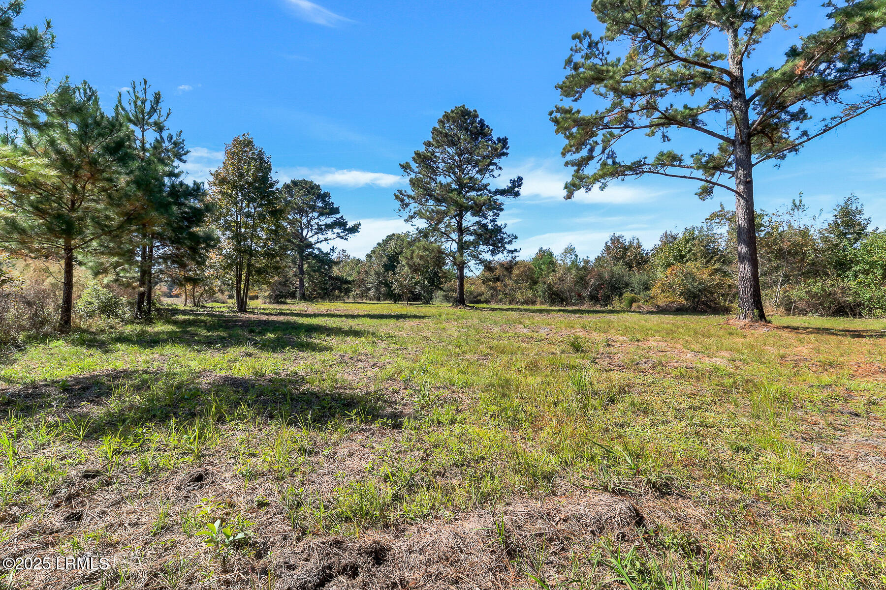 Land in Ridgeland 3