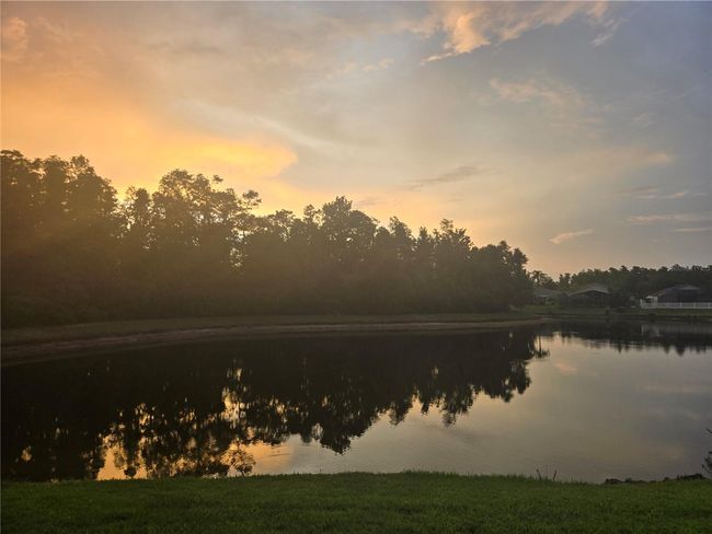 Pond view at night | Image 16