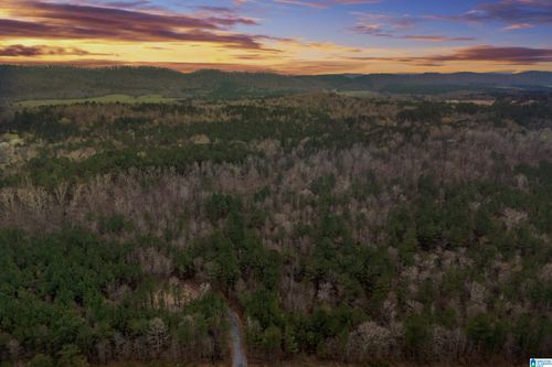 7-7 Fisher Phillips Road, Ashville, AL, 35953 | Card Image