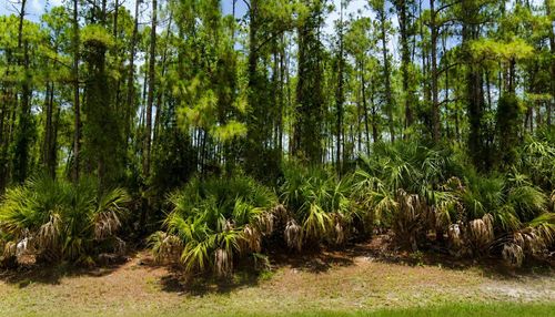 00 Kedgewick Ln, North Port, FL, 34288 | Card Image
