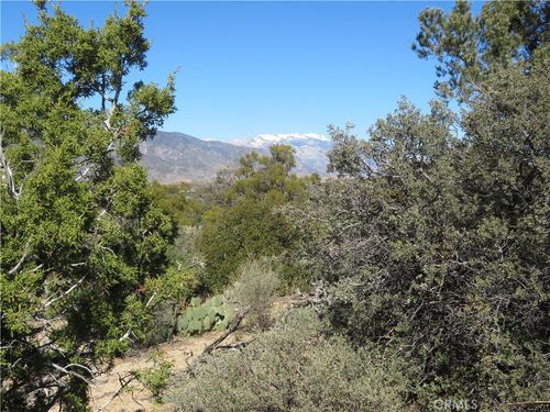 155 Lot #155 Buckthorn, Mountain Center, CA, 92561 | Card Image