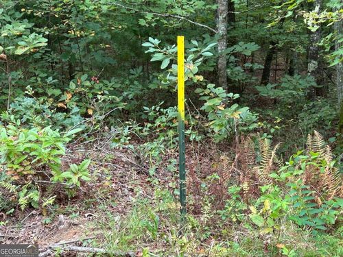 10-15-21.43AC Blue Tick Rd, Mc Caysville, GA, 30555 | Card Image