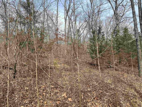 00 End Line Rd, Marshall, AR, 72650 | Card Image