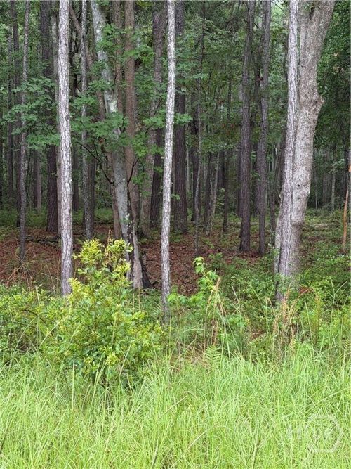 157 Wood Haven Ln, Pooler, GA, 31322-9775 | Card Image