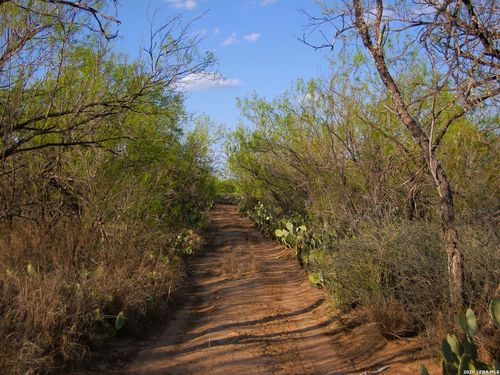 TBD Fm 186, Carrizo Springs, TX, 78834 | Card Image