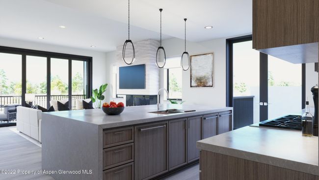 155 Lakeview Drive, Home with 3 bedrooms, 5 bathrooms and 2 parking in Basalt CO | Image 4