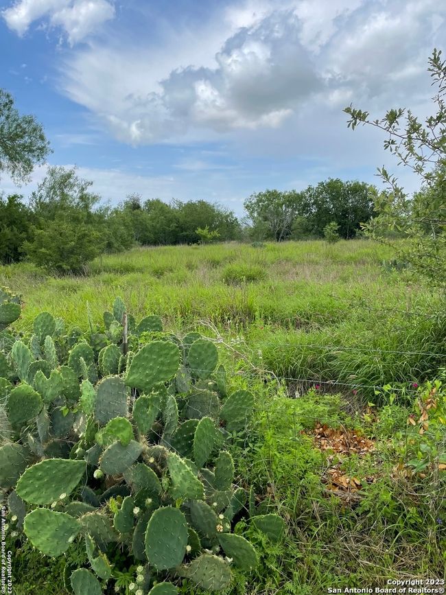 436 N Sunset Strip St, Home with 0 bedrooms, 0 bathrooms and null parking in Kenedy TX | Image 10