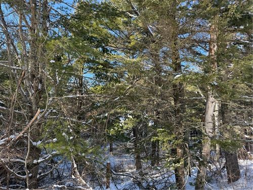 4 Kavanaugh Road, Cable, WI, 54821 | Card Image