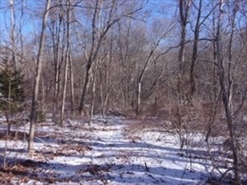 90 Chestnut Hill Rd, Millville, MA, 01529-1500 | Card Image