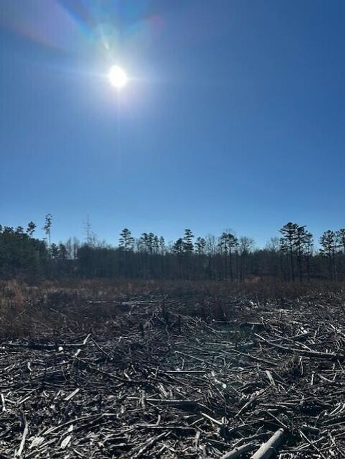 1 N 50th Ave, Gruetli Laager, TN, 37339-4315 | Card Image