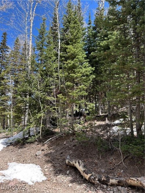 380 N Forest Dr, Brian Head, UT, 84719 | Card Image