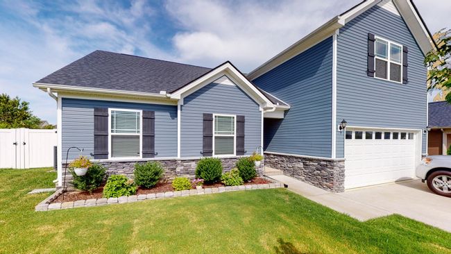 Wonderful evergreen garden | Image 4