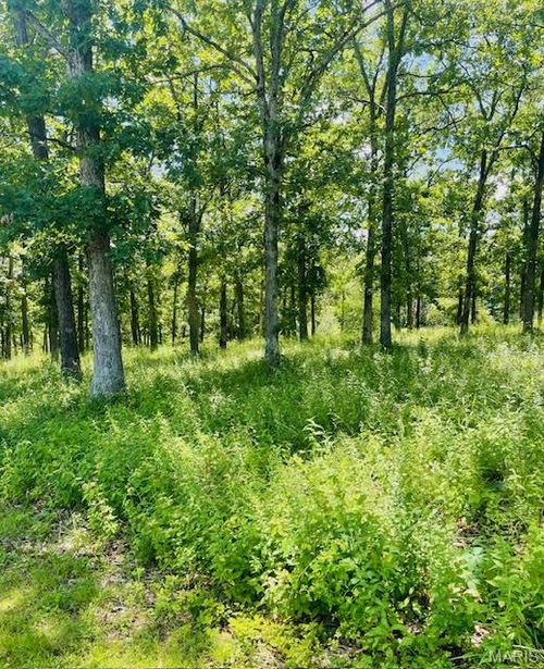 0 Krausetown Rd, Owensville, MO, 65066 | Card Image