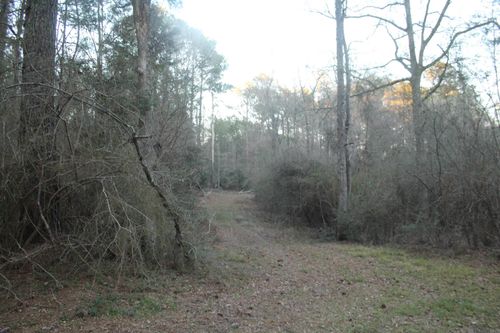 TBD Odeal Williams Ln, Ethel, LA, 70730 | Card Image
