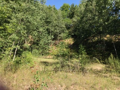 891011 S Riverview Drive, Hesperia, MI, 49421 | Card Image