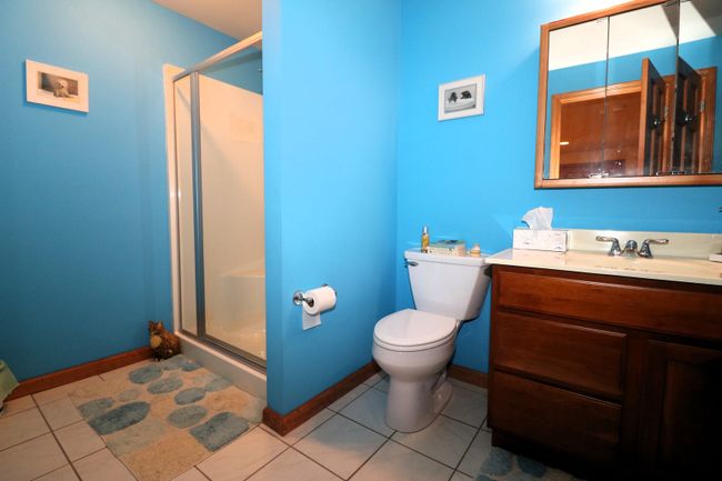 115 Marsh Hawk Dr, House other with 3 bedrooms, 4 bathrooms and 2 parking in Le Roy IL | Image 23