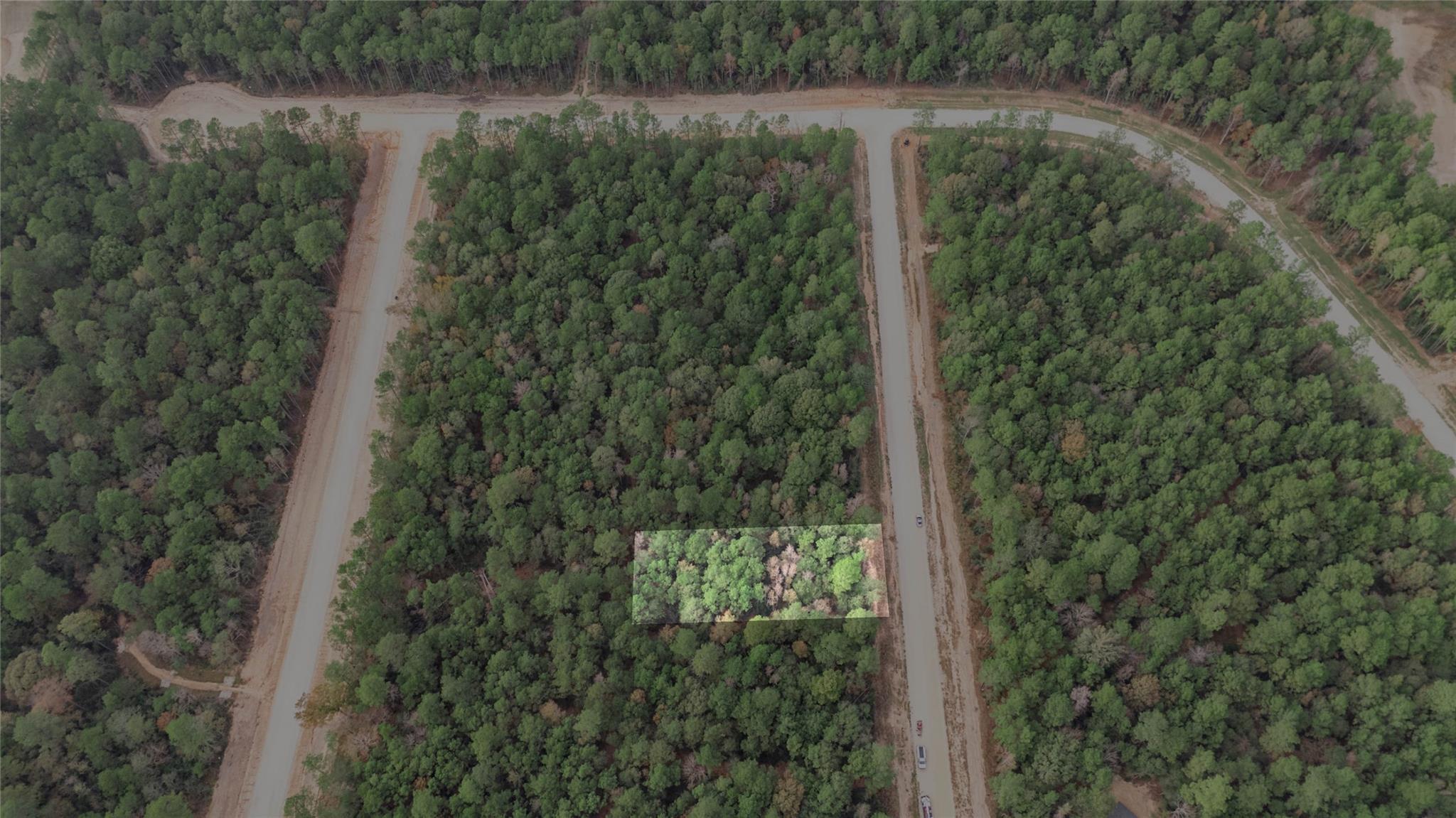 Land in New Waverly 4