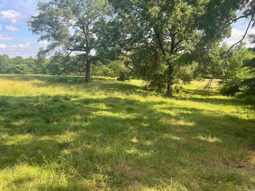 xx Mountain View Rd, Glenwood, AR, 71943 | Card Image