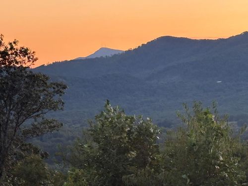 442 Old Ridge Trl, Fancy Gap, VA, 24328-4486 | Card Image