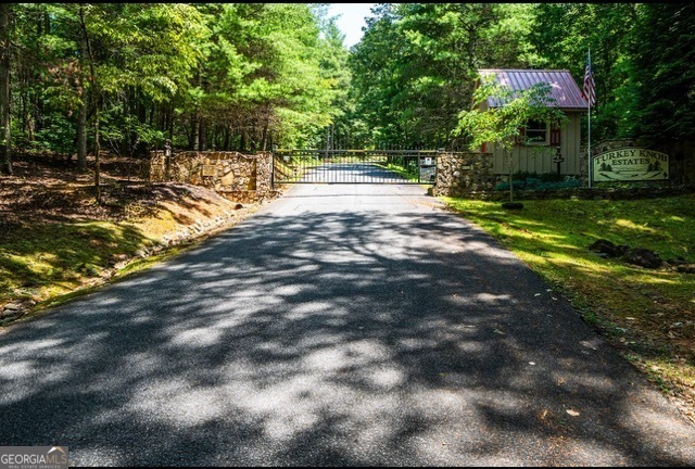Land in Ellijay 3