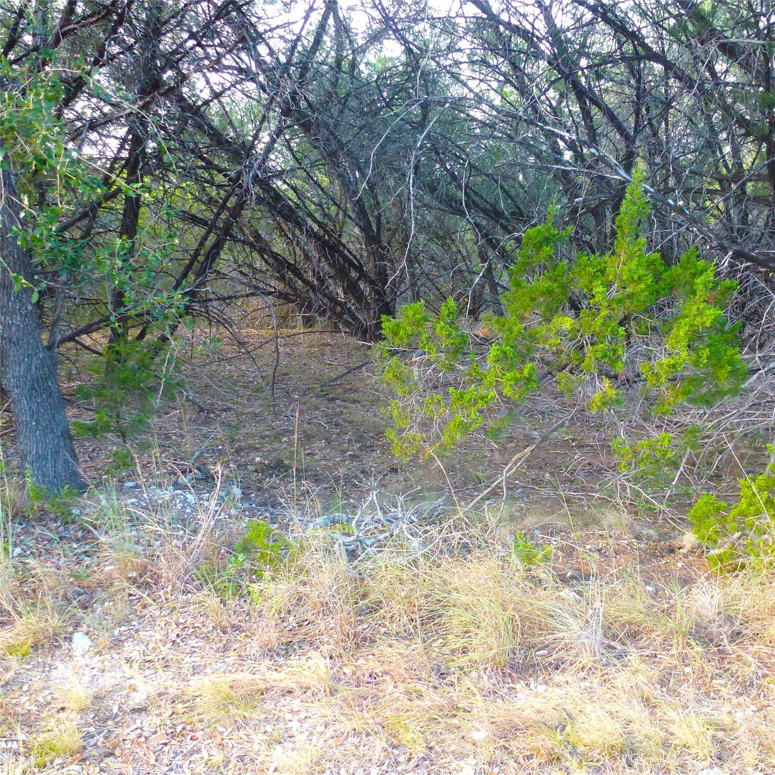 Land in Lago Vista 4