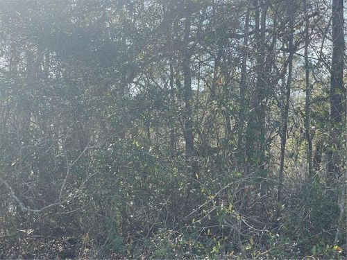 0 Windy Leaf Dr, Grand Bay, AL, 36541 | Card Image