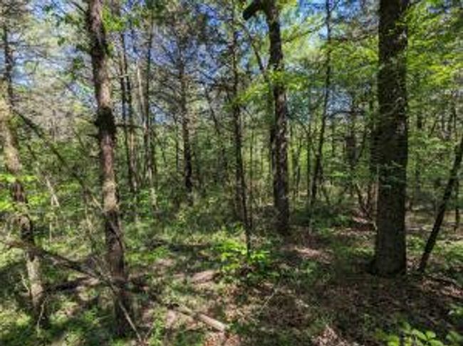 27B & 28B Shelby Lane, Home with 0 bedrooms, 0 bathrooms and null parking in Cecil AR | Image 20
