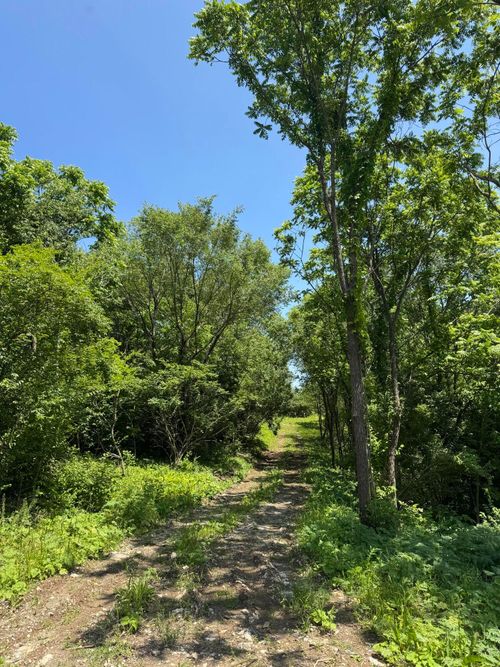 Lot East Dr, Danville, KY, 40422 | Card Image