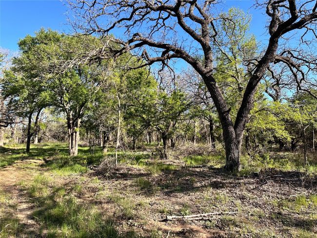 Lot 13 Cr 127, Home with 0 bedrooms, 0 bathrooms and null parking in Carlton TX | Image 28