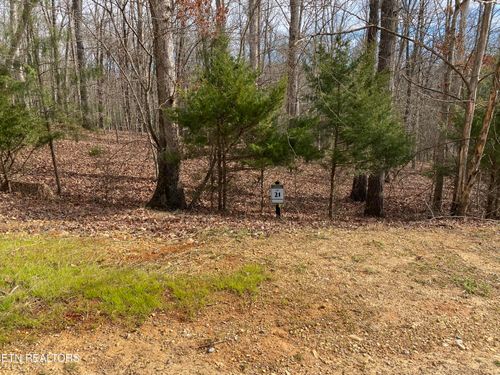 1566 Old Dogwood Trl, Loudon, TN, 37774-5493 | Card Image