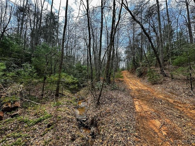 Spring and Interior Access Road | Image 13