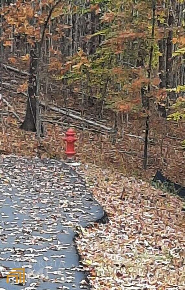 177 - 0 Owen Glenn Dr, Home with 0 bedrooms, 0 bathrooms and null parking in Blairsville GA | Image 6