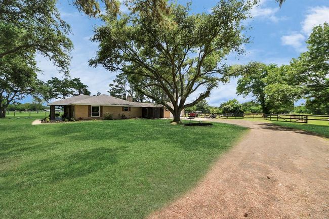 Charming tree swings add a playful, nostalgic touch to this inviting front yard. | Image 29