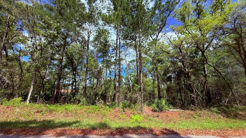 Lot 15 Bay Ct, Ocklawaha, FL, 32179 | Card Image
