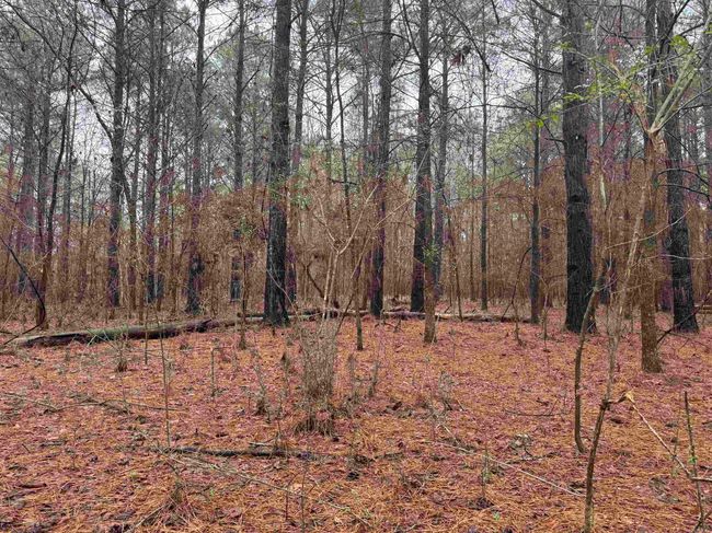 000 Ashley Road 912, Home with 0 bedrooms, 0 bathrooms and null parking in Hamburg AR | Image 39