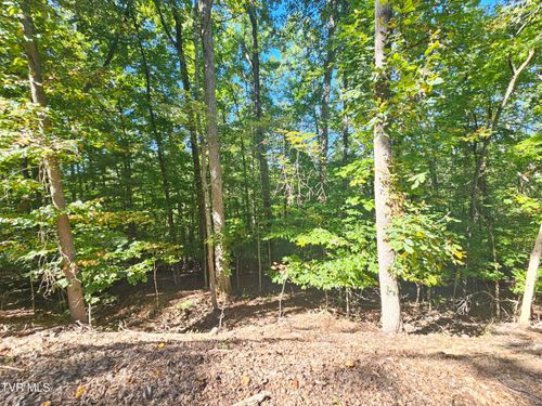 Lot 4 Skyline Drive, Bristol, TN, 37620 | Card Image