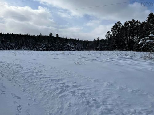 100 Acres Spencers Beach (Hwy 209) Road, Spencers Island, NS, B0M1S0 | Card Image