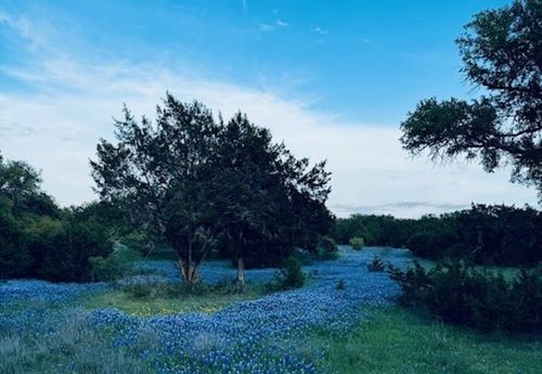 Lot 13 & 14 Twisted Oak, Horseshoe Bay, TX, 78654-0000 | Card Image