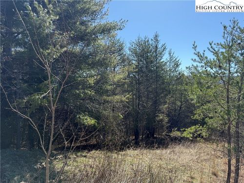 Lot 3 Alta Vista Ln, Sparta, NC, 28675 | Card Image