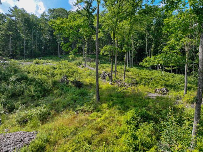 0 Rose Hill Rd, Home with 0 bedrooms, 0 bathrooms and null parking in Woodstock VT | Image 11