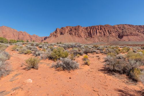 815 W Kumo Ct, Ivins, UT, 84738 | Card Image