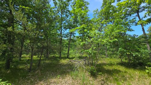 VL N Custer Rd, Manistee, MI, 49660 | Card Image