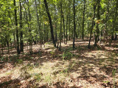 L101-103, B-3 Lightning Circle, Highland, AR, 72542 | Card Image