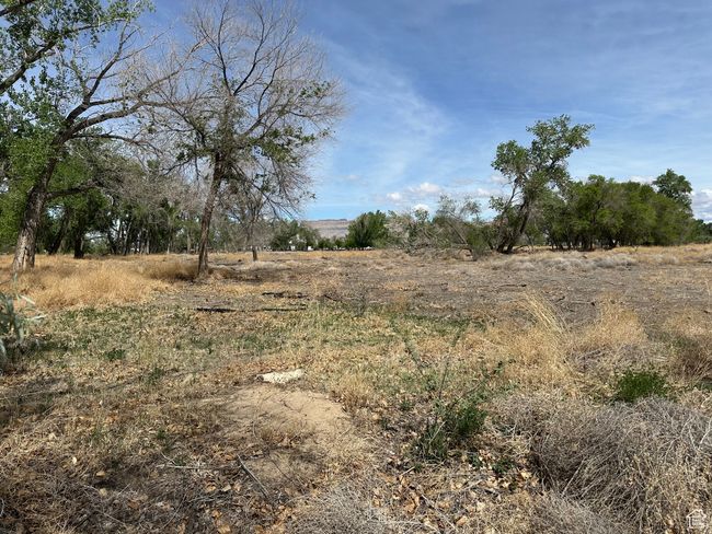 View of undeveloped land with rural landscape | Image 16