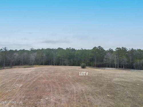 Lot 4 Kahler Lane, McHenry, MS, 39561 | Card Image