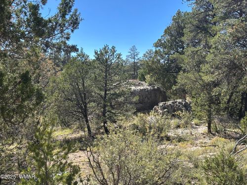 3673 Pine Rim Dr, Overgaard, AZ, 85933-9704 | Card Image