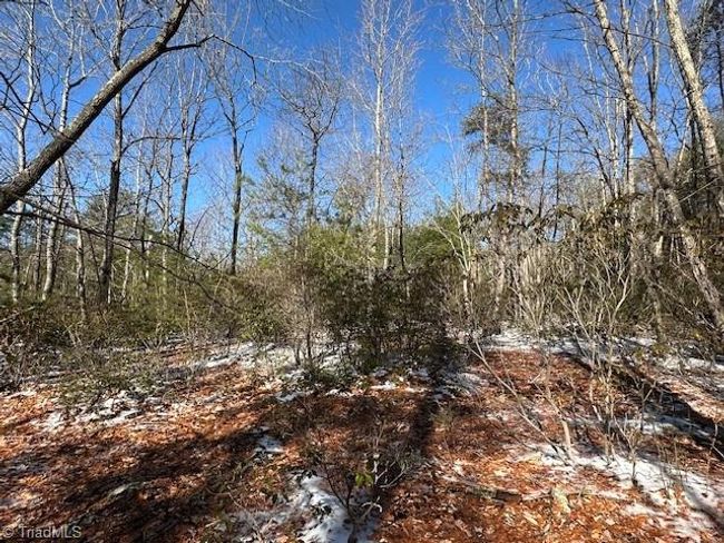 0 Old Railroad Grade Rd, Home with 0 bedrooms, 0 bathrooms and null parking in Thurmond NC | Image 8